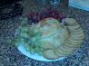 Baked Brie in Puff Pastry With Apricot or Raspberry Preserves