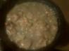 Budget Southern Fried Chicken N' Gravy