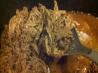 Weight Watcher Slow Cooker Chipotle's Barbacoa Beef. Recipe by Cooks4_6
