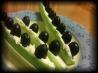 Frogs on a Log. Recipe by AmyZoe