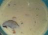 Cream of Mushroom Soup