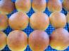 Butter Rich Pan Rolls