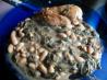 Balsamic Chicken With White Beans & Spinach. Recipe by ElizabethKnicely