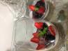 Panna Cotta With Blueberry Sauce. Photo by ducky007
