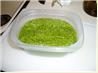 Pesto
