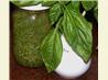 Pesto