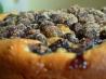 Blueberry Streusel Cake