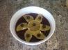 Cranberry Blueberry Sauce. Photo by altheviking