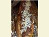 Sausage-Stuffed Loaf. Recipe by Jellyqueen