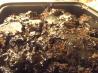 Crock Pot Chocolate Mud Cake. Recipe by Ridgely