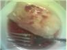 Boursin Stuffed Chicken Breasts With Raspberry Sauce