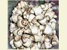 Butterhorns Aka Rugelach / Rugulach / Snails / Schnecken