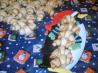 Butterhorns Aka Rugelach / Rugulach / Snails / Schnecken