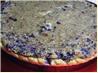 Blueberry Sour Cream Pie