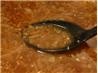 My French Onion Soup. Recipe by LAURIE