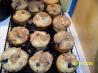 Awesome Blueberry Muffins