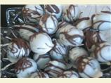 Oreo Balls. Photo by MelinOhio