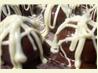 Oreo Balls