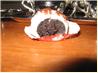 Oreo Balls