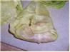 Lu's Excellent Cabbage Rolls