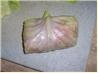 Lu's Excellent Cabbage Rolls