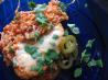 Mexican Chicken. Recipe by sdollarhide