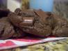 Chewy Double Chocolate Chip Cookies