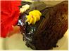 No Cook Fudge Frosting. Recipe by Anita Harris