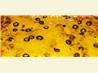 Ground Beef Enchiladas