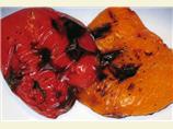 Grilled Bell Peppers