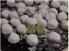 Creme De Menthe Balls (No-Bake Cookies)