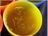 Crock Pot Chicken or Turkey  Stock