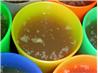 Crock Pot Chicken or Turkey  Stock
