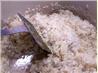 Saffron Rice