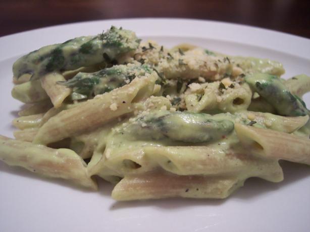 Penne Pasta With Asparagus Sauce. Photo by jrusk