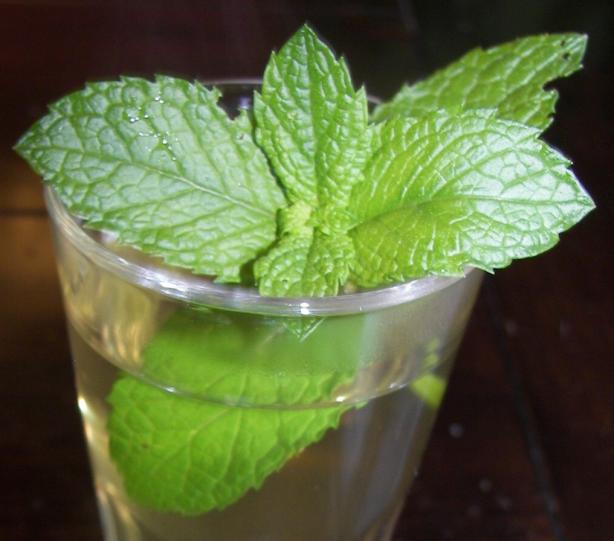 Moroccan Mint Tea. Photo by Baby Kato