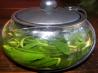 Moroccan Mint Tea