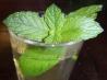 Moroccan Mint Tea