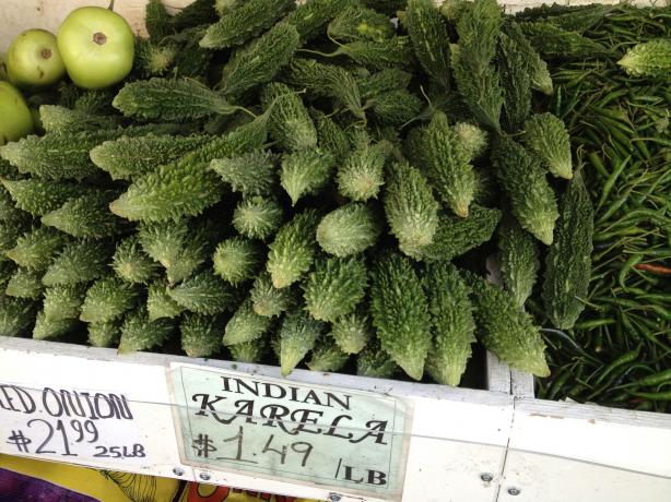 Karela (Bitter melon or gourd). Photo by pfgastaldi