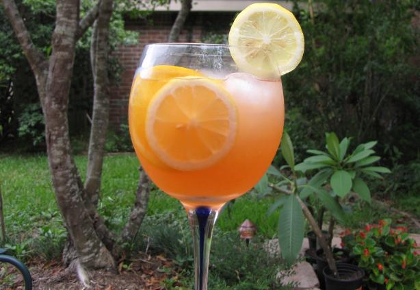 Sangria Rose. Photo by loof