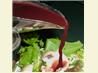 Raspberry Vinaigrette. Recipe by SusieQusie