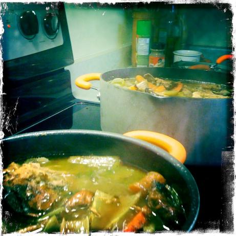 Brown Chicken Stock. Photo by maryjane in spain
