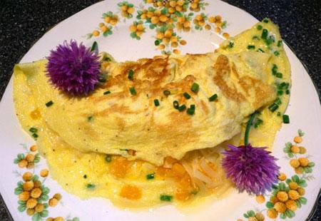 Herb and Three Cheese Omelet. Photo by Mikekey