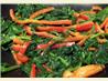 Garlic Spinach & Bell Peppers