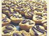 Turtle Tarts