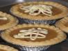 Turtle Tarts