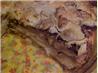 Deep Dish Apple Pie With Its Own Crust