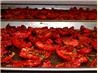 Oven-Dried Herbed Tomatoes