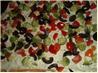 Fresh Vegetable Pizza Appetizer