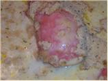 Chicken Cordon Bleu. Photo by Jolene Green